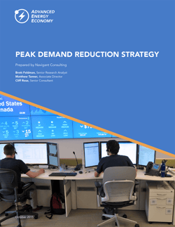 Download the peak demand reduction strategy report